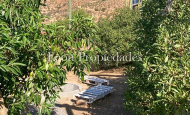 Leon Propiedades vende o arrienda con compromiso de compra, parcela con casa en sector el Pangal, Curacaví.