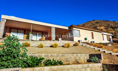 Leon Propiedades vende o arrienda con compromiso de compra, parcela con casa en sector el Pangal, Curacaví.