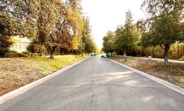 Los Bosques, Piedra Roja, Chicureo Oriente
