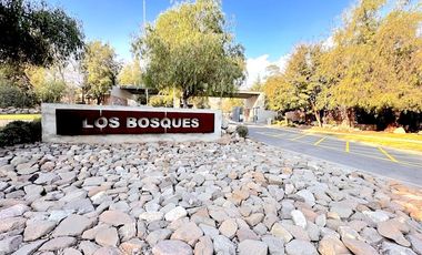 Los Bosques, Piedra Roja, Chicureo Oriente