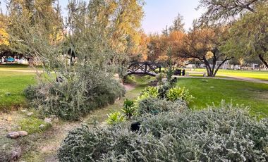 Los Bosques, Piedra Roja, Chicureo Oriente