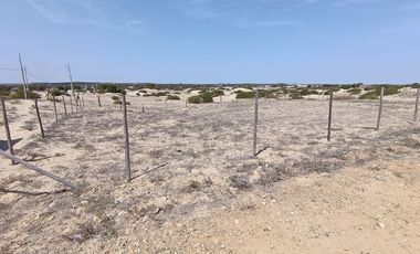 Venta Terreno Cond. La Palma De Oro.ID:1114759