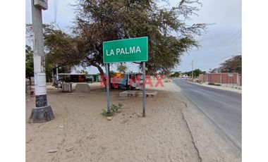 Venta Terreno Cond. La Palma De Oro.ID:1114759