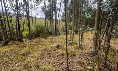 T454 DOS AMPLIOS LOTES DE VENTA, Sector Deleg T454