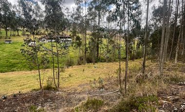 T454 DOS AMPLIOS LOTES DE VENTA, Sector Deleg T454