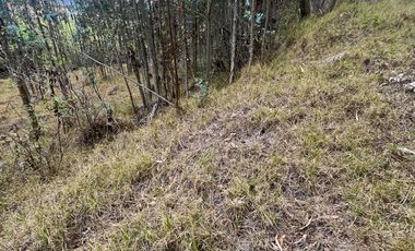 T454 DOS AMPLIOS LOTES DE VENTA, Sector Deleg T454