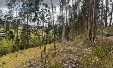 T454 DOS AMPLIOS LOTES DE VENTA, Sector Deleg T454