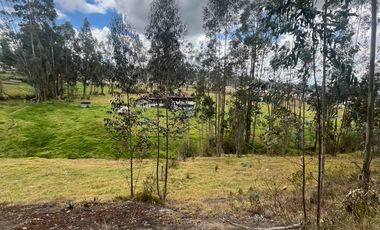 T454 DOS AMPLIOS LOTES DE VENTA, Sector Deleg T454