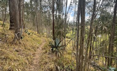 T454 DOS AMPLIOS LOTES DE VENTA, Sector Deleg T454