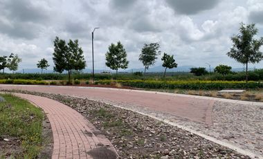 Lote Habitacional Premium en venta 269 M2 - MADERAS CORREGIDORA.