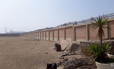 Venta de terreno industrial Chilca carretera Panamericana Sur Km. 63