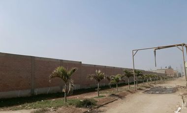 Venta de terreno industrial Chilca carretera Panamericana Sur Km. 63