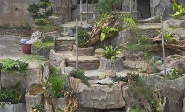 Serene Studio Condo with Balcony and Garden View in Selendra, Baguio City