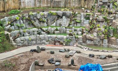 Serene Studio Condo with Balcony and Garden View in Selendra, Baguio City