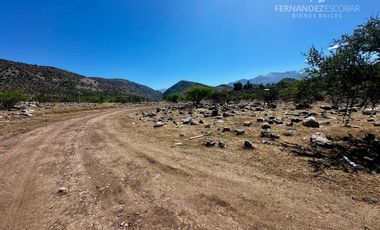 SAN ESTEBAN - VENTA TERRENO DE 5.000m2 SECTOR CAMPOS DE AHUMADA