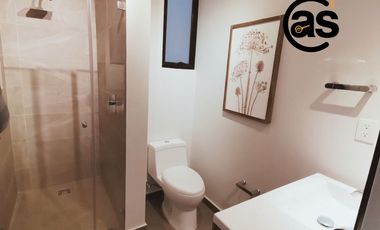 DEPARTAMENTO CON ROOF GARDEN  Y TERRAZA