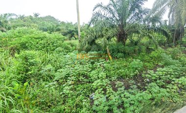 Jual Tanah di Pekan Baru Jalan Air Hitam/Simpang Baru (Dekat Komplek Pergudangan Platinum)