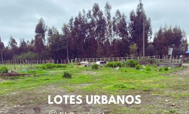 Sitios urbanos en Arauco.