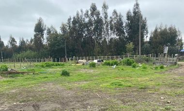 Sitios urbanos en Arauco.