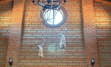 CABAÑA EN VENTA VERGEL DE LA SIERRA LEON GUANAJUATO