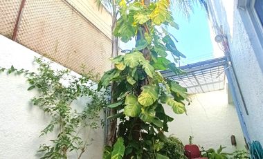 HERMOSA CASA EN VENTA EN COLONIA PROVIDENCIA