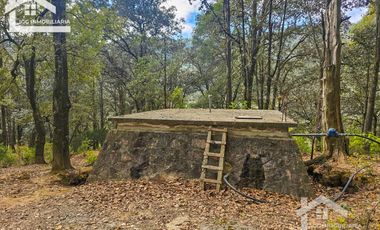 TERRENO BOSCOSO EN LA ZONA DE LOS LIRIOS CARBONERAS, MINERAL DEL CHICO