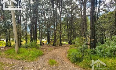 TERRENO BOSCOSO EN LA ZONA DE LOS LIRIOS CARBONERAS, MINERAL DEL CHICO
