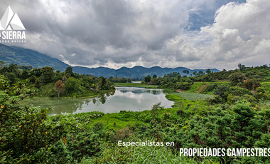 Tres Terrenos de 2.5 HA con Vista a la Presa de Nexapa