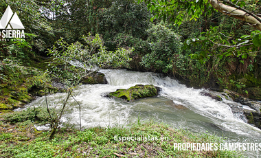 Tres Terrenos de 2.5 HA con Vista a la Presa de Nexapa