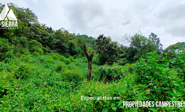 Tres Terrenos de 2.5 HA con Vista a la Presa de Nexapa