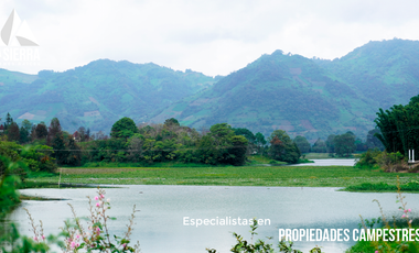 Tres Terrenos de 2.5 HA con Vista a la Presa de Nexapa
