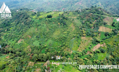 Tres Terrenos de 2.5 HA con Vista a la Presa de Nexapa