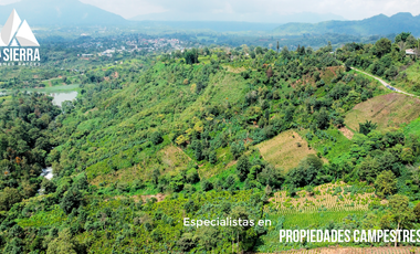 Tres Terrenos de 2.5 HA con Vista a la Presa de Nexapa
