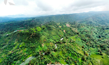 Tres Terrenos de 2.5 HA con Vista a la Presa de Nexapa