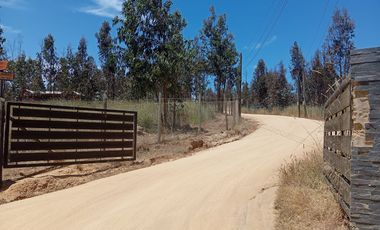 PAREDONES, 5000 M2 CON ROL PROPIO, LISTO PARA DISFRUTAR!!
