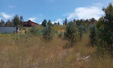 PAREDONES, 5000 M2 CON ROL PROPIO, LISTO PARA DISFRUTAR!!