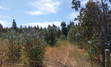 PAREDONES, 5000 M2 CON ROL PROPIO, LISTO PARA DISFRUTAR!!