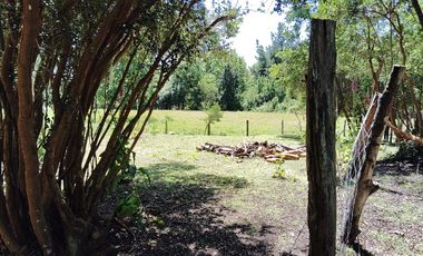 Parcela con casa y bodega, en la region de los lagos