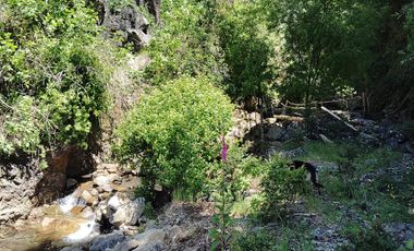 Parcela con casa y bodega, en la region de los lagos