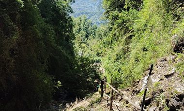 Parcela con casa y bodega, en la region de los lagos