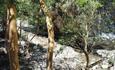 Parcela con casa y bodega, en la region de los lagos