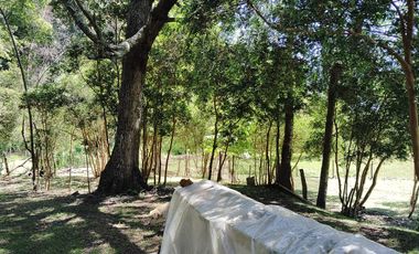 Parcela con casa y bodega, en la region de los lagos