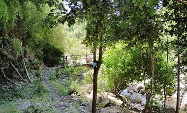 Parcela con casa y bodega, en la region de los lagos