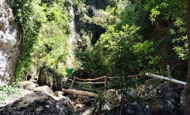 Parcela con casa y bodega, en la region de los lagos