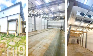 VENDO TERRENO CON INUEBLE AGROINDUSTRIAL