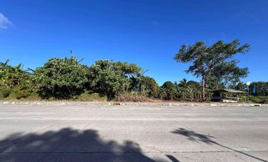 200 sq.m. Lot For Sale in Amadeo Along East-West Road Near Tagaytay
