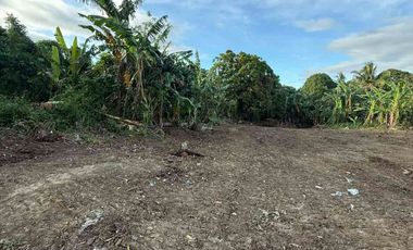 200 sq.m. Lot For Sale in Amadeo Along East-West Road Near Tagaytay