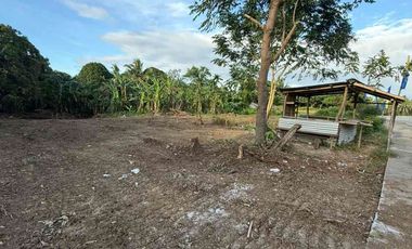 200 sq.m. Lot For Sale in Amadeo Along East-West Road Near Tagaytay