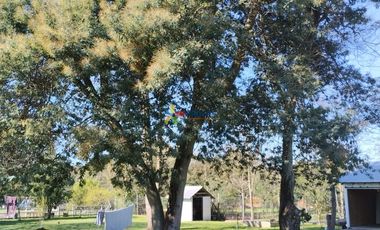 Vende Casa en Parcela Km 10 a Coihueco