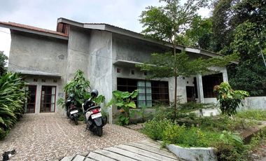 Rumah Natural, Luas dan Adem di Wedomartani